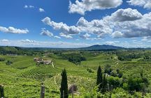 Tour in the Prosecco Hills Tour from Padua