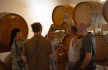 From Padua, Wine Tour in the Euganean Hills