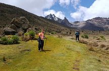 Mt Kenya 2 to 3 Days Hiking Lenana Peak