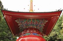 Ikegami Honmonji Temple Walking Tour in Tokyo