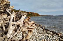 Autumn in Acadia National Park Private Leaf Peeper Driving Tour