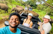 Minneriya Elephant Safari with Driver and Guide