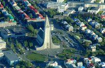 Full-Day Reykjavik Private Tour with a Local