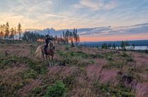 Horseback Ride in Finnish Forest from Rovaniemi