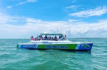 Catamaran Dolphin Cruise in Myrtle Beach with Barrier Island Stop