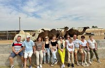 Abu Dhabi Evening Desert Safari: BBQ Dinner, Camel Ride & Shows