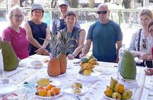 Brazil Tropical Fruit Experience in São Paulo