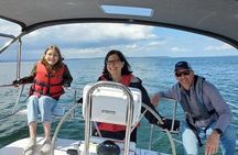 Private Skippered Charters in Puget Sound