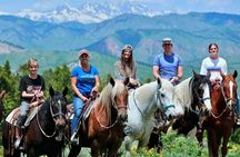 Willow Creeks Signature Half Day Ride with Lunch