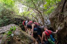 Rincón de la Vieja – La Leona Waterfall Private Tour