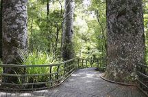 Bay of Islands - Explorer Tour