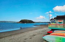 Private Tours in Bay of Islands