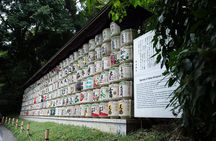 Harajuku Meiji Shrine Walking Tour in Tokyo
