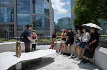 Tokyo Shibuya Crossing & Hidden Streets Walking Tour
