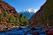 Ourika Valley Day Trip from Marrakech with Lunch and Guide