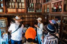 The Old Quarter of Tokyo - Yanaka Walking Tour