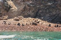 Ballestas Islands private transfer from Lima