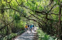 Halong Lan Ha Bay 2D1N by Sea Coral Cruise from Tuan Chau Port