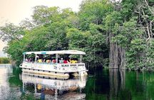 Full-Day South Coast - YS Falls, Pelican Bar & Black River Safari