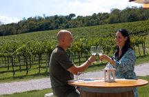 From Venice: Wine Tour in the Euganean Hills