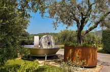 From Padua: Tour to Arquà Petrarca, the medieval village