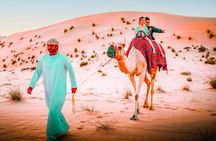 Abu Dhabi: Morning Dune Drive, Camel Ride & Sandboarding