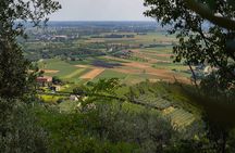 From Abano Montegrotto, Wine Tour in the Euganean Hills