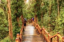 2-Day Bariloche Highlights with optional Airfare 