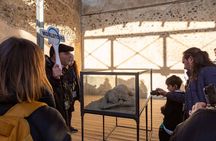 Naples or Salerno Port Pompeii and Herculaneum Tour