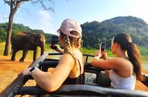 All Inclusive Private Safari at Habarana Park (Pick-up Included)