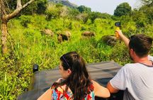 All Inclusive Private Safari at Habarana Park (Pick-up Included)
