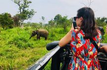 All Inclusive Private Safari at Habarana Park (Pick-up Included)