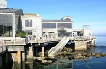 Half Day Monterey Peninsula Sightseeing Tour 