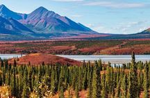 Denali Highway Overnight Excursion