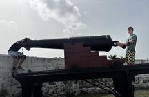 Nassau Trike Site and Beach Tour