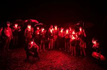 El Yunque Rainforest Night Walk Adventure (Twilight River & Swim)