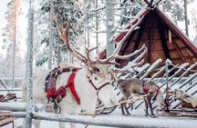 All In One Rovaniemi Day Tour with Arctic Animals and Arktikum