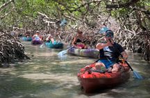 Mangrove Tunnel Kayak Tour To Shell Key