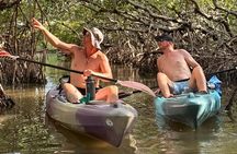 Mangrove Tunnel Kayak Tour To Shell Key