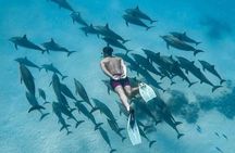 Mnemba Island Snorkeling Adventure with Dolphins & Coral Reefs