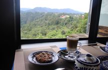 1 Day Tour to Zacatlán and Chignahuapan from Mexico city