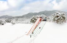 Strawberry Picking, Winter Sled with Eobi Ice Valley from Seoul