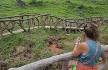 Sloth Discovery and Hot Springs Tour in Costa Rica