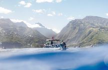 Meet the giants of the seas Semi-private whale trip