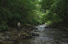 Trout Fishing in Miyazaki Mountains