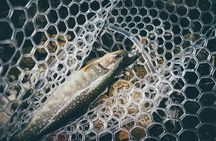 Trout Fishing in Miyazaki Mountains