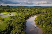 Palo Verde National Park Boat Safari with Local Cuisine