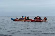 Kayak + : The Blowhole + : Flea market. Private Tour