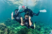 From Phi Phi Don | Half Day Discover Scuba Diving 2 Dives