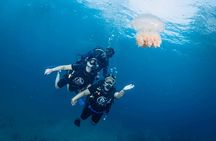 From Phi Phi Don | Half Day Discover Scuba Diving 2 Dives